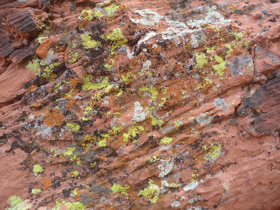 Nature stone natural
