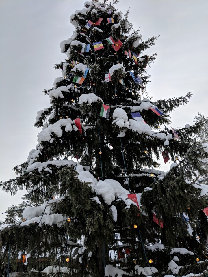 Christmas santa claus village arctic