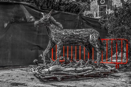 Animal red ledra palace