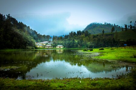 The landscape swamp view