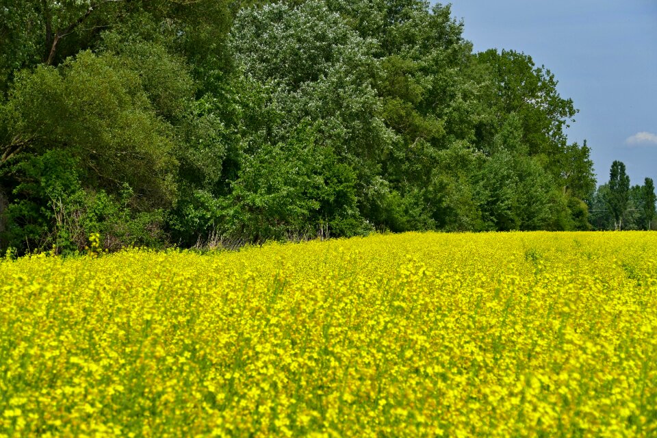 Field country agriculture