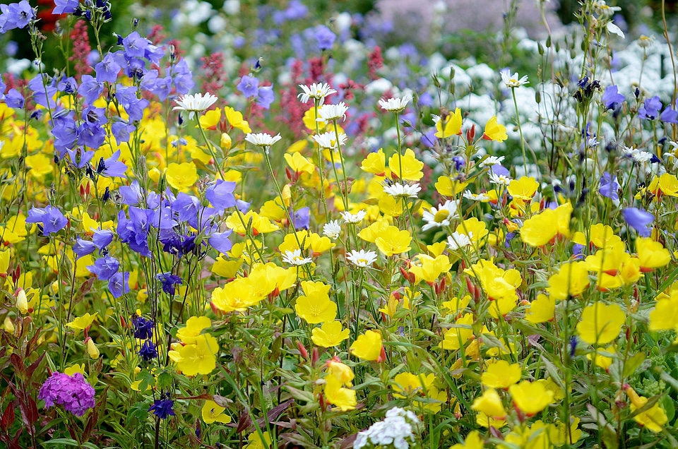 Leaf background flowers