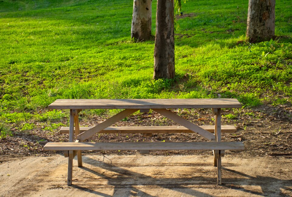 Nature summer park