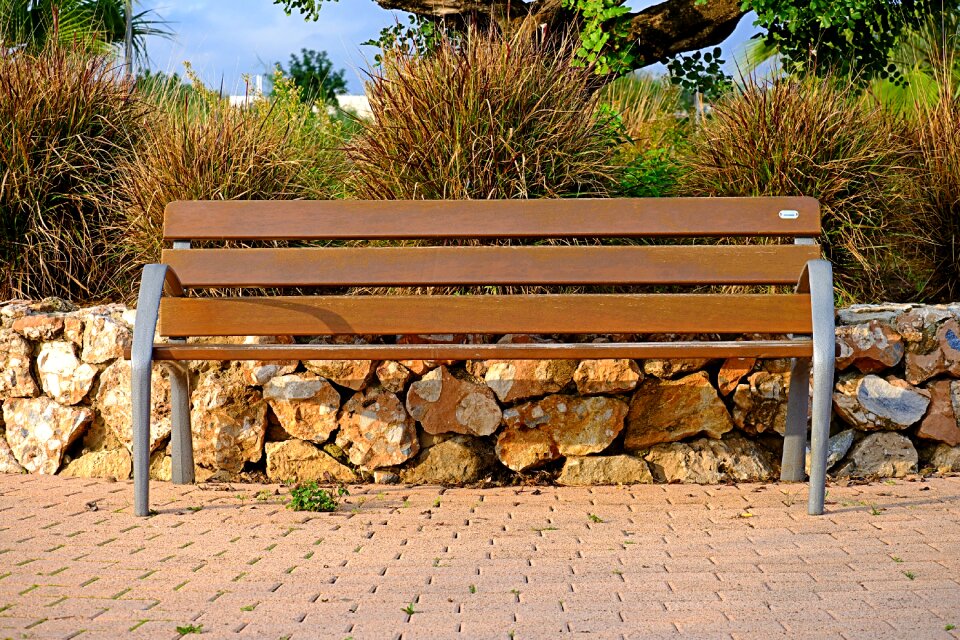 Nature outdoors empty