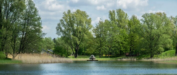 Wood lake landscape photo