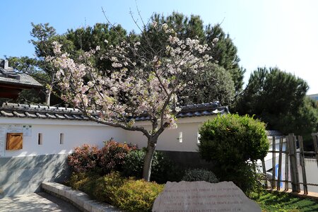 Architecture outdoor garden