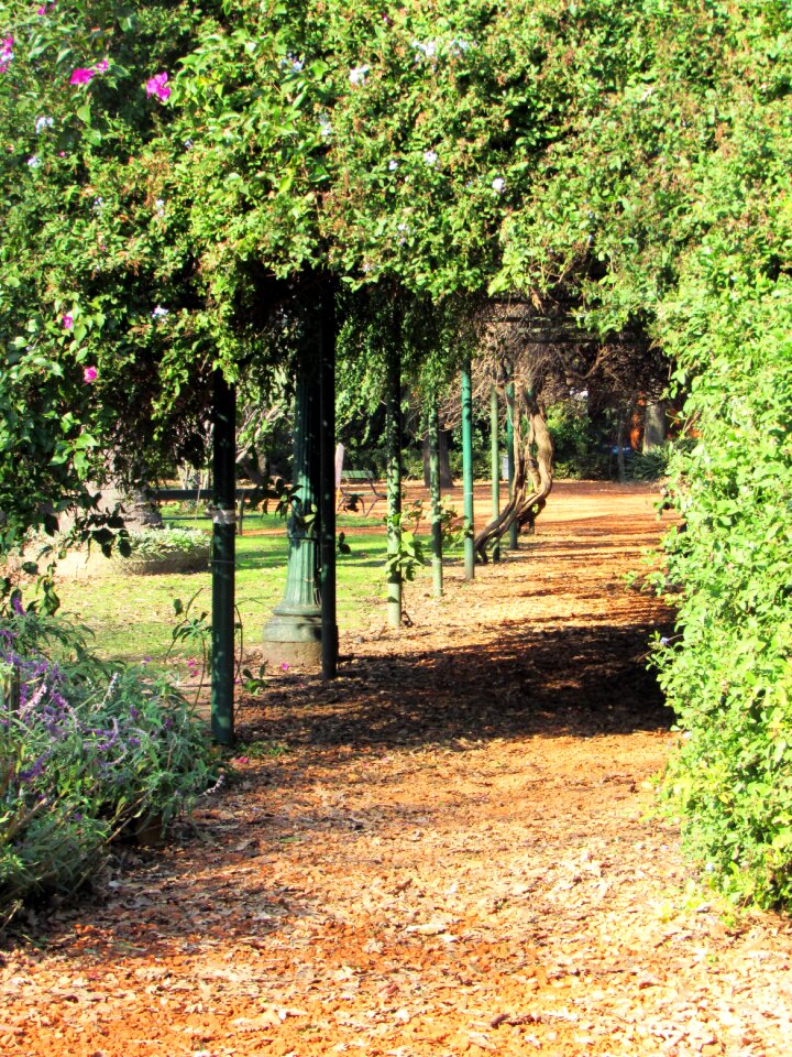 Garden leaf park