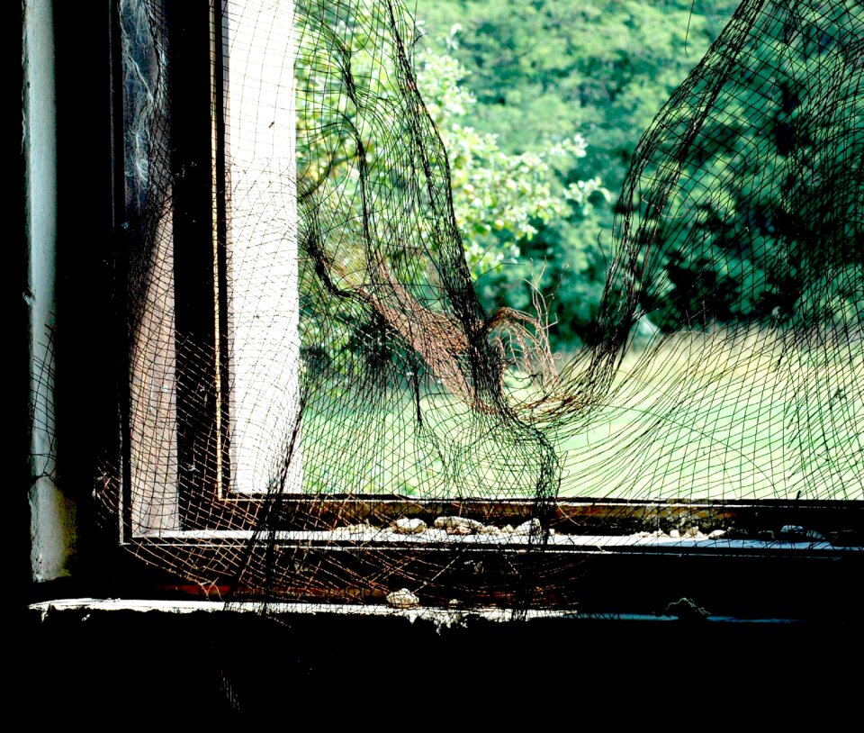 Window network basket case