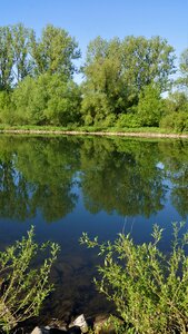 Summer reflection river