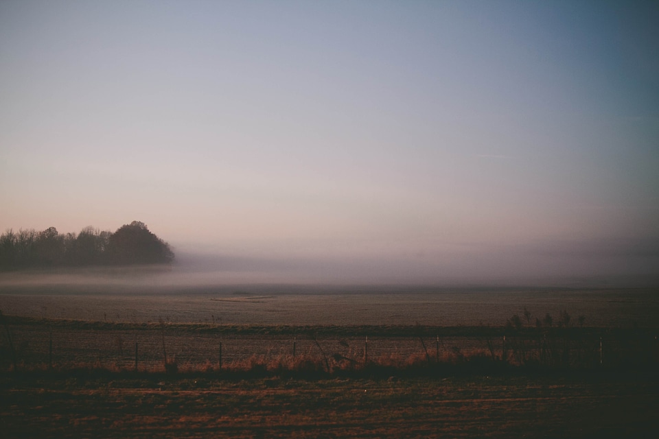 Fog nature early morning