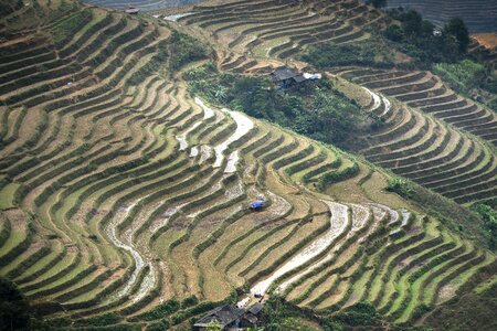 Moc chau magical field