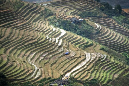 Moc chau magical field photo