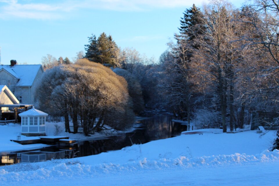 Winter cold frost