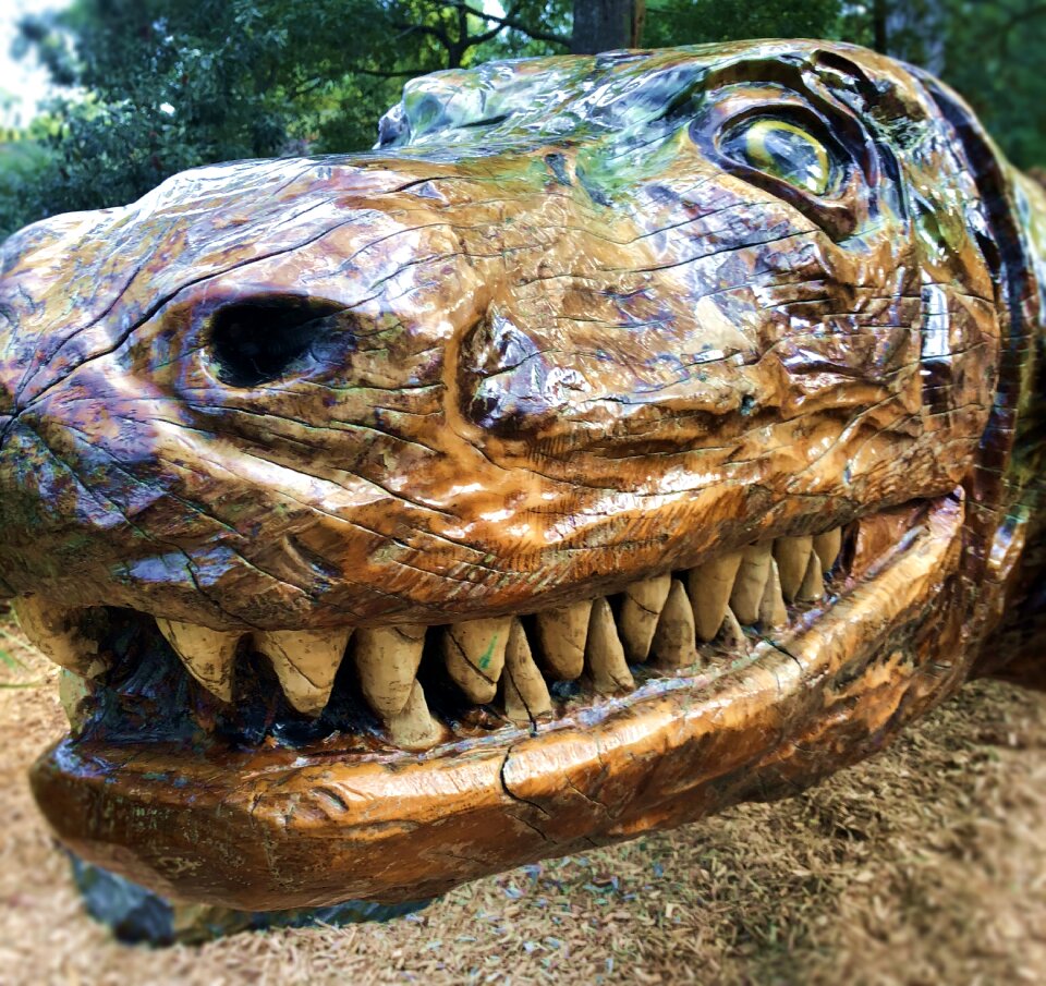 Animal wildlife mouth