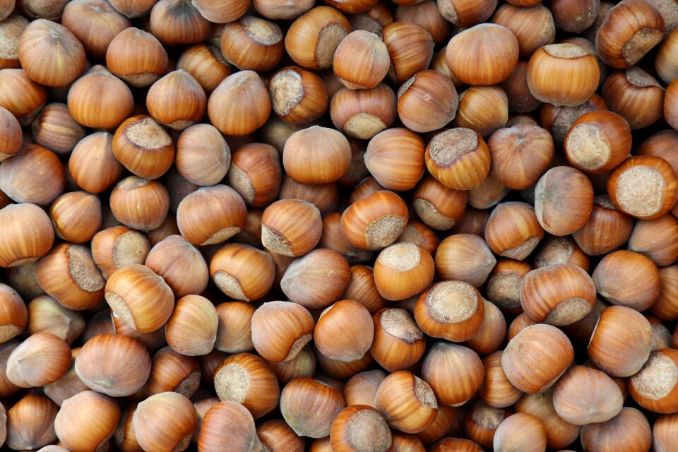 Legume nut healthy