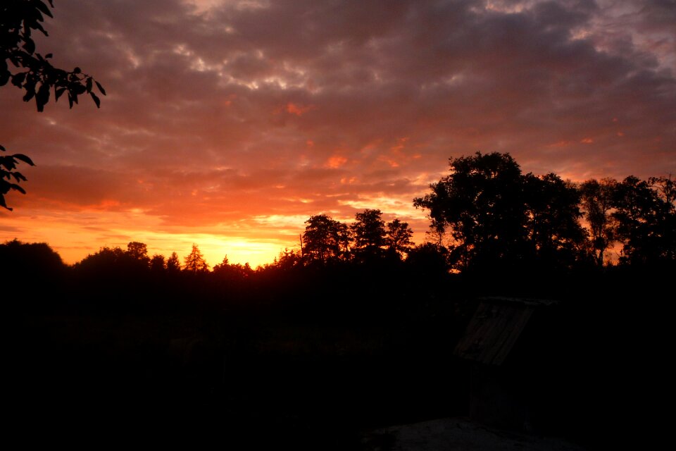 Field evening nature