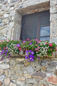 Wall flora window