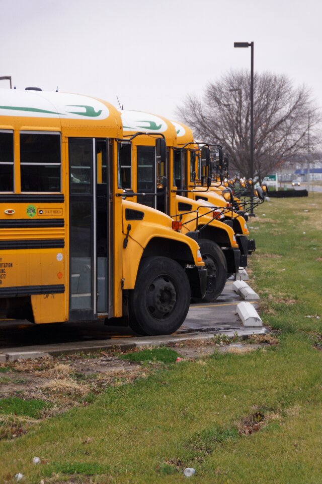 School bus bus travel