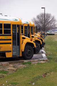 School bus bus travel photo