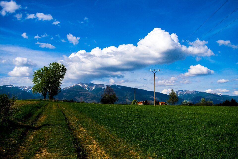 Sky heaven grass