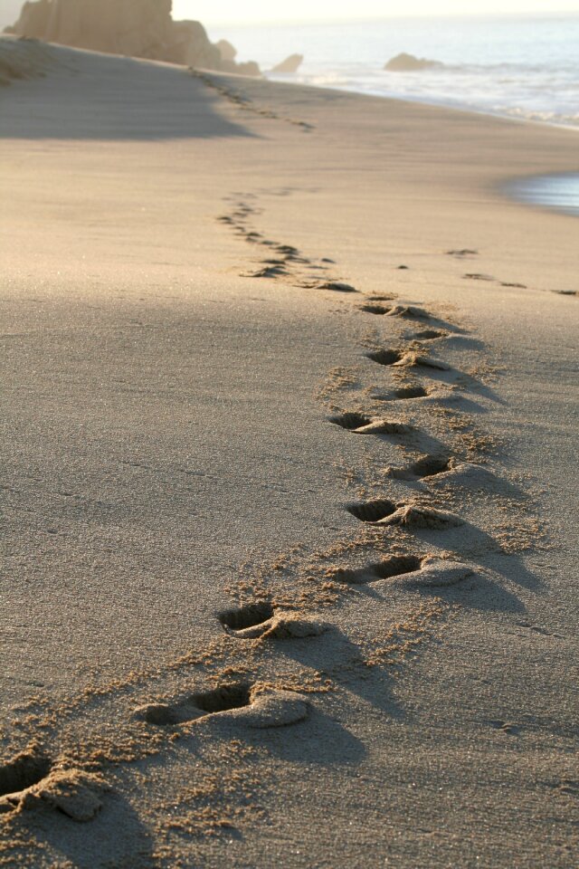Water shore shoreline