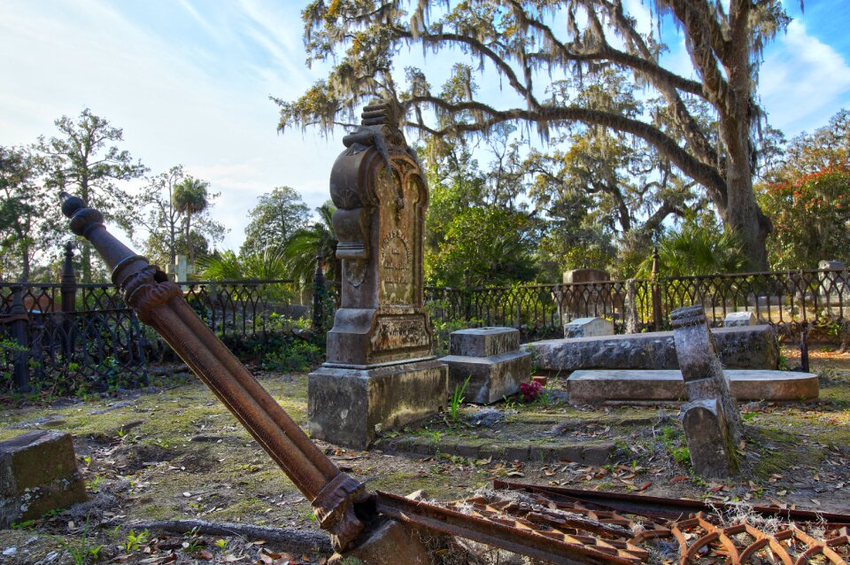 Nature sky cemetery