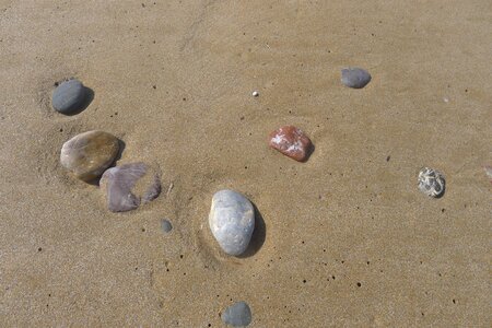 Pebbles seashell sandy photo