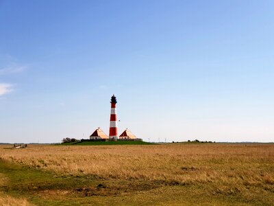 Nature grass westerhever