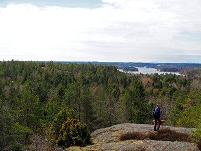 Nature panoramic käringboda