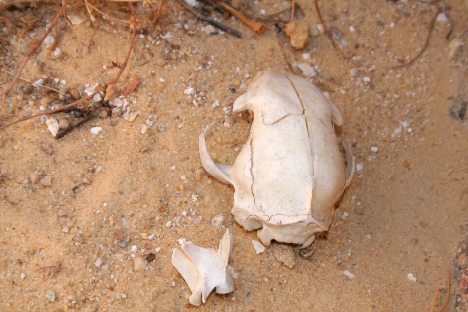 Sand no person archaeology