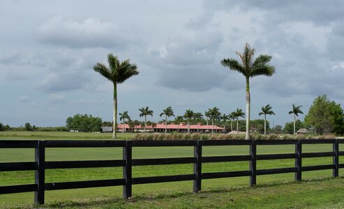 Nature travel grass