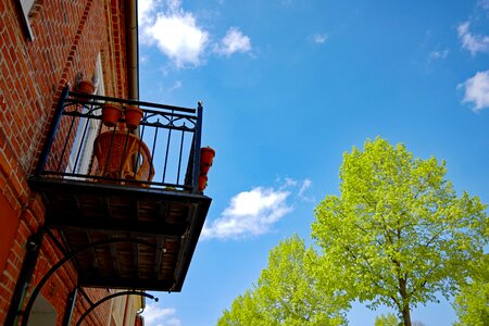 Summer out sky
