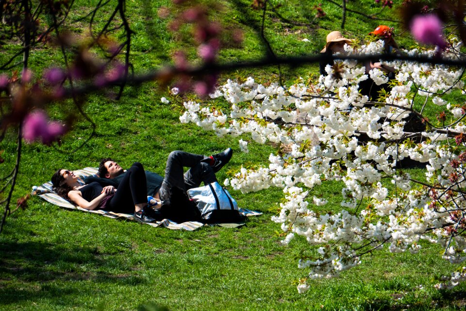 Sunbathing couple spring