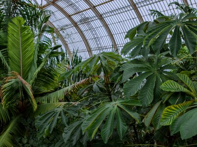 Nature greenhouse