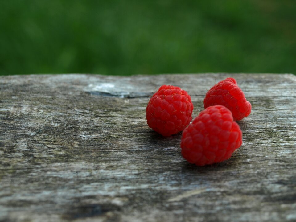 Raspberry macro Free photos
