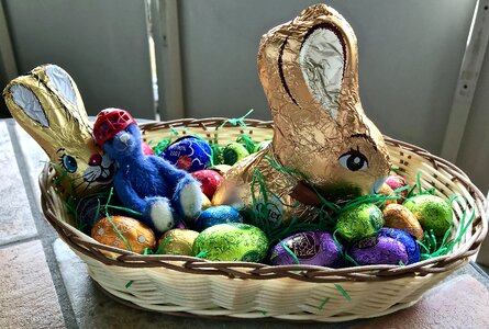 Basket hare rabbit