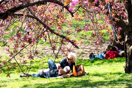 Couple sunbathing cherry