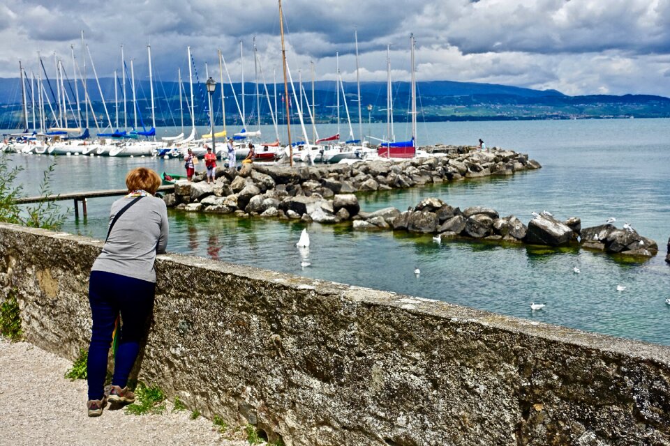 Water sea seashore