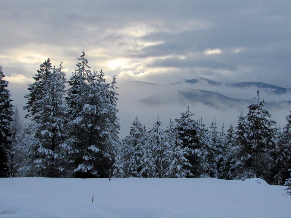 Frost frozen mountain