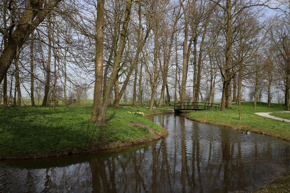 Park spring martenastate