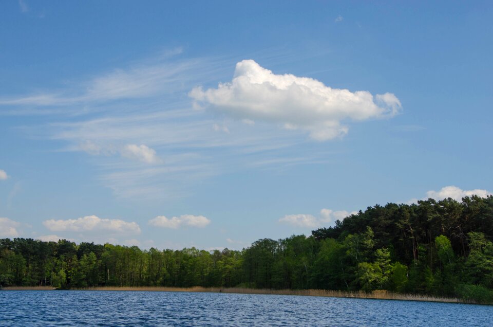 Nature waters lake