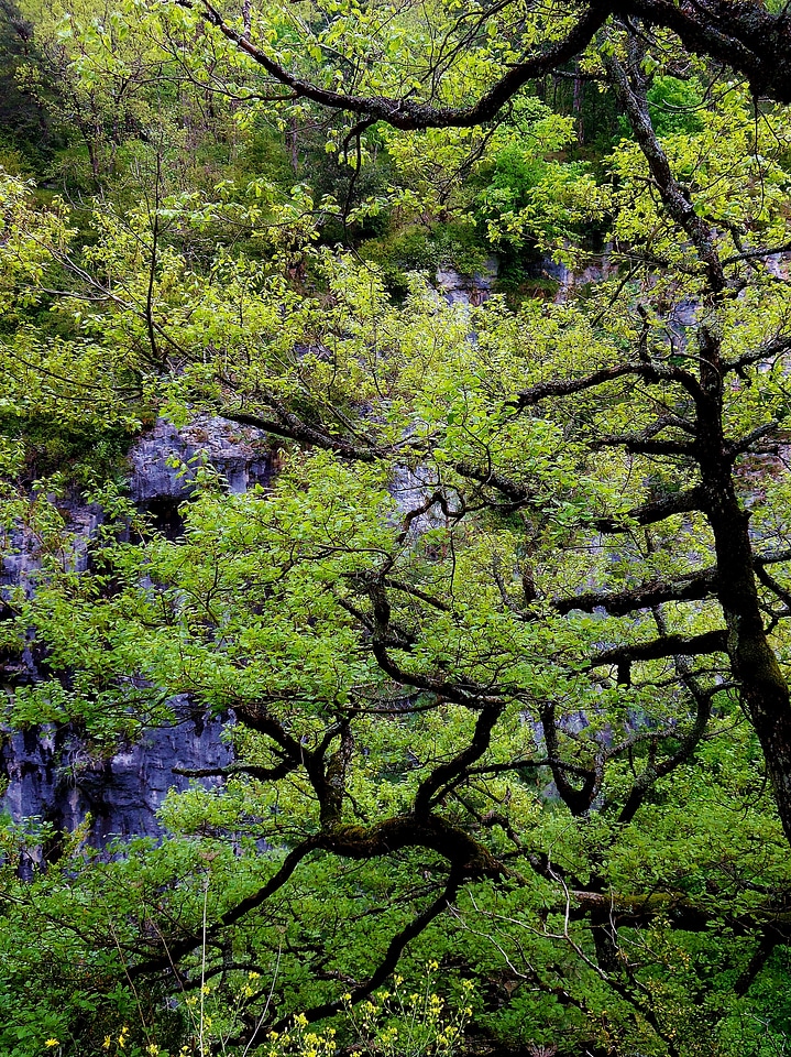 Green contrast cliff