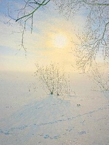 Cold snow minnesota photo