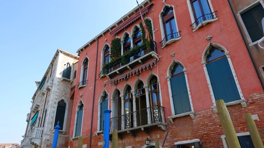 Building window flowers