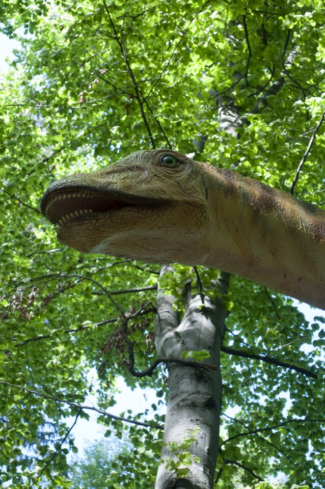 Park leaf animal