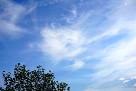 Summer sky schönwetter photo