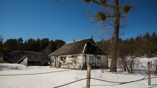 Winter nature landscape