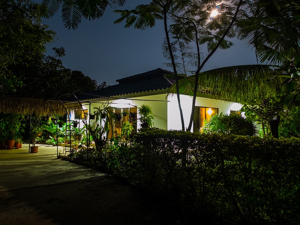 House garden night photograph