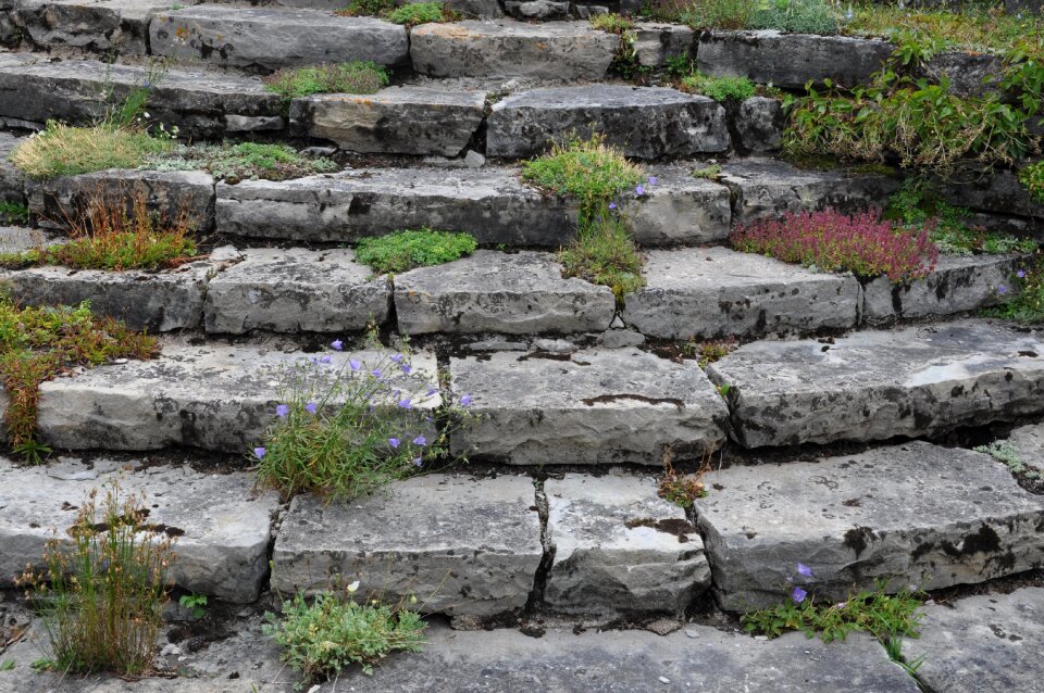 Wall nature staircase