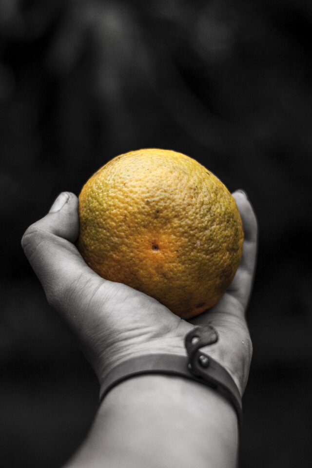 Orange black and white Free photos
